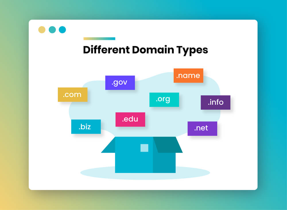 types of domain name_tnf